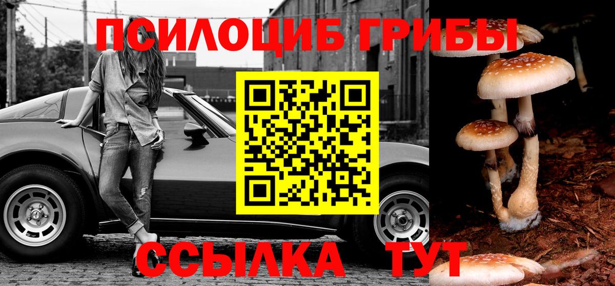 Галлюциногенные грибы мицелий  Вход с VPN  Курган 