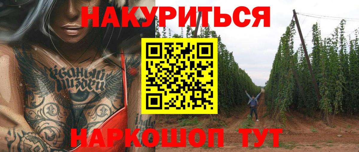 Бошки Шишки планчик  Канабис марихуана  Шишки марихуана THC 21%  Курган  Вход с VPN 